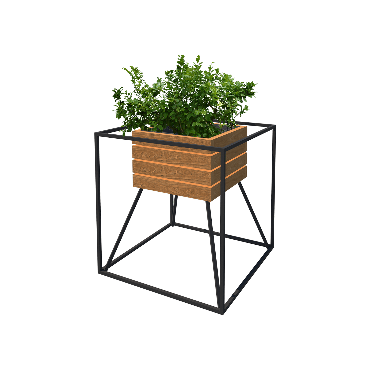 فلاورباکس یاسمین